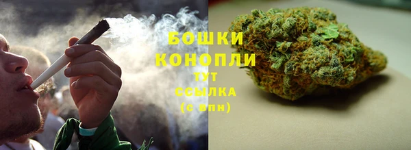каннабис Богданович