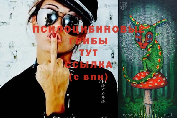 дурь Бородино