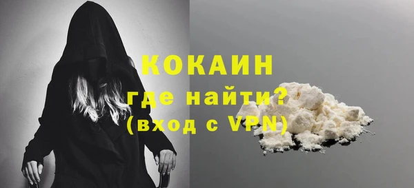 дурь Бородино
