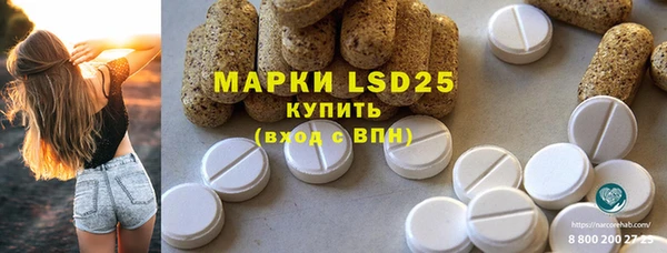 дурь Бородино