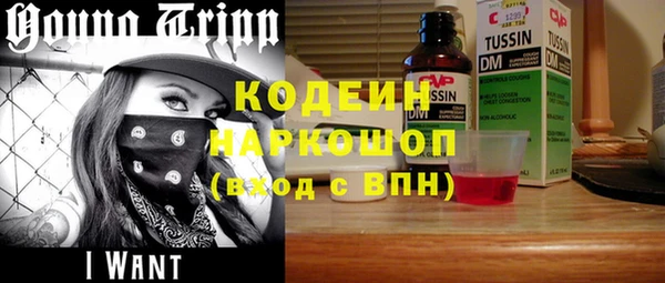 дурь Бородино